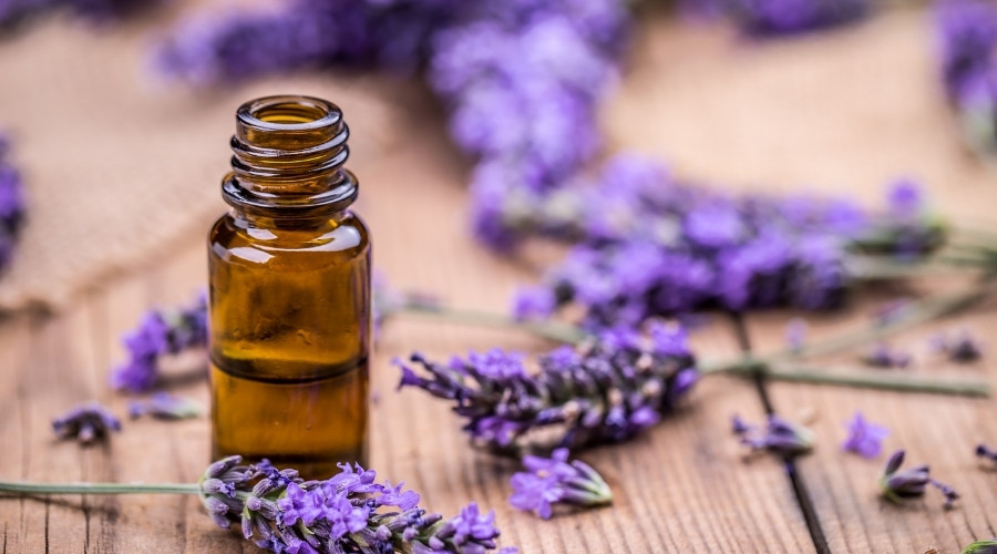 best lavender essential oil - bottle of oil on table with lavender flowers
