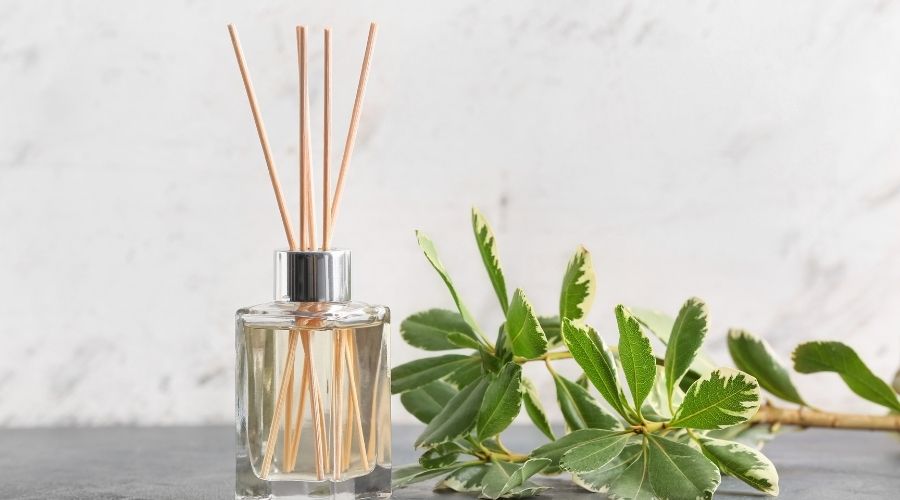 reed diffuser with fragrance oil